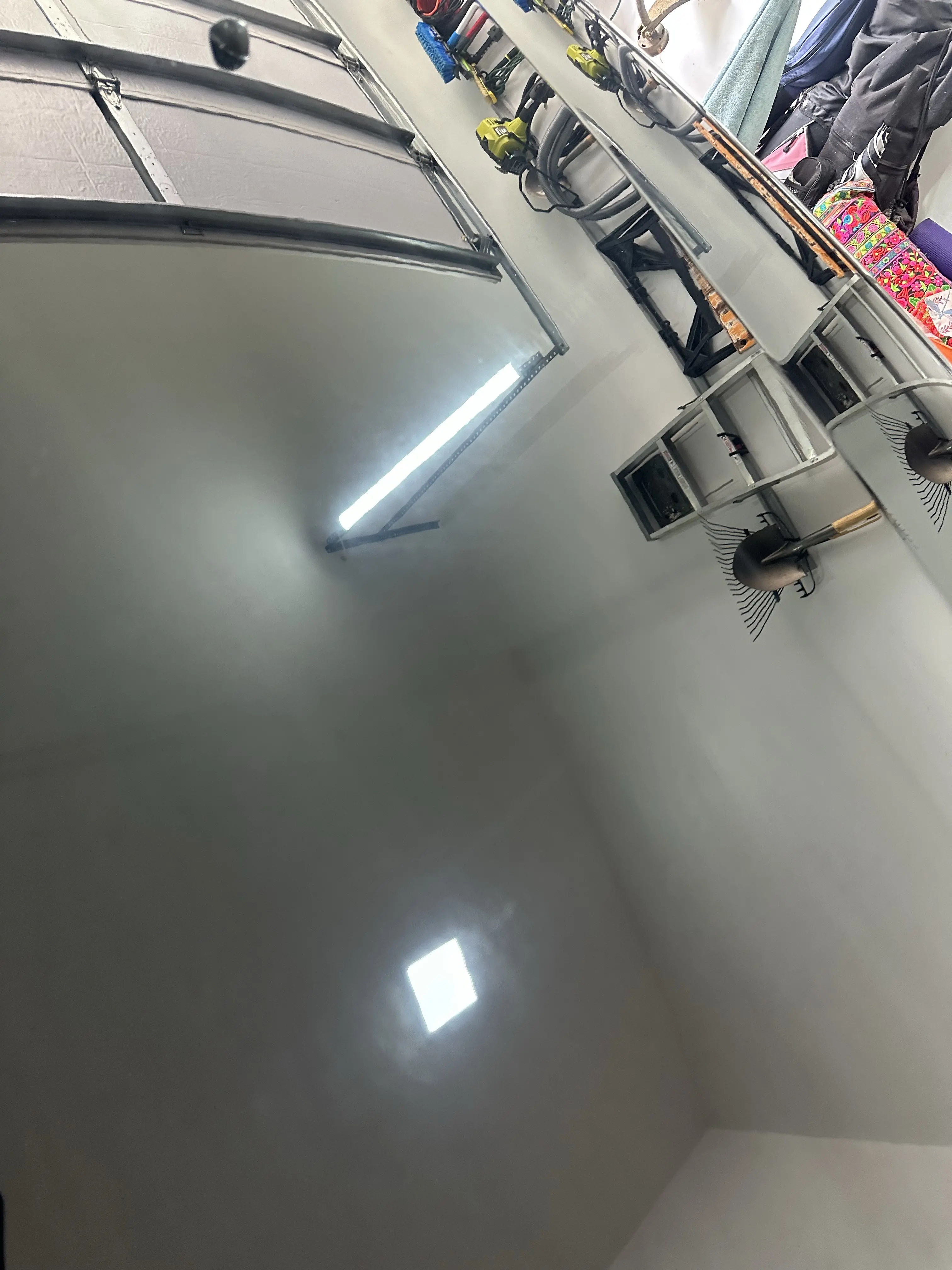 Acura SUV Paint Correction, photo 4 of 4