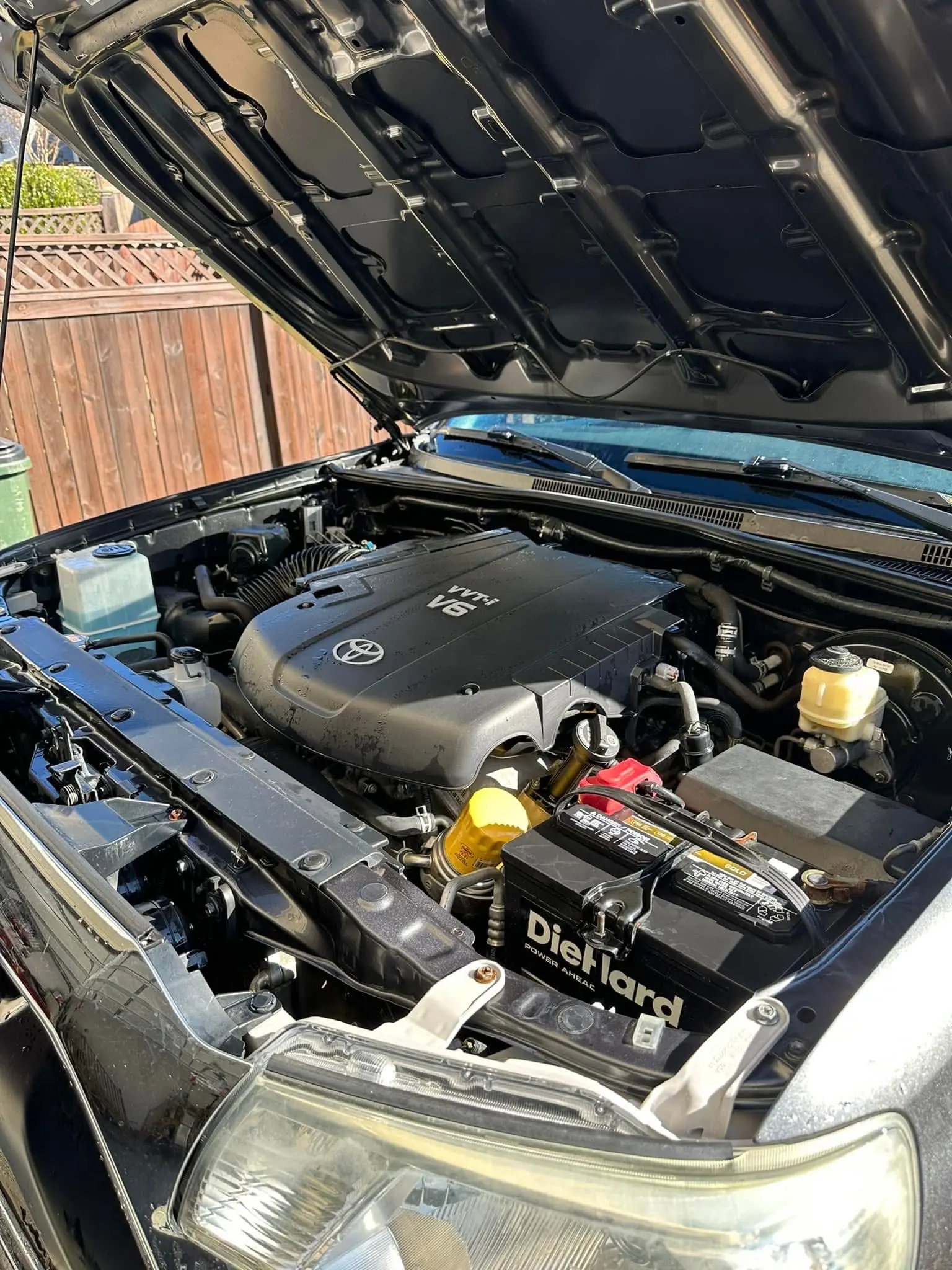 2015 toyota tacoma paint correction, photo 4 of 4